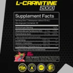 Forzagen L- Carnitine 2000 – Liquid L Carnitine with Vitamin B6 | Acetyl L-Carnitine | L-Tartrate | 30 Servings