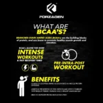 BCAA’S + Glutamine with Hydragen Complex – Recover – Build – Hydration